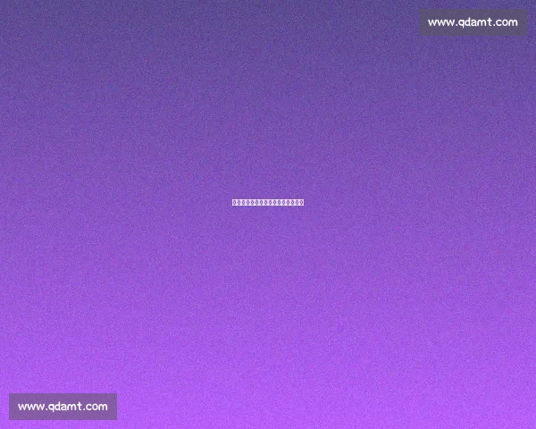 篮球明星签名鞋款全系列评测与推荐